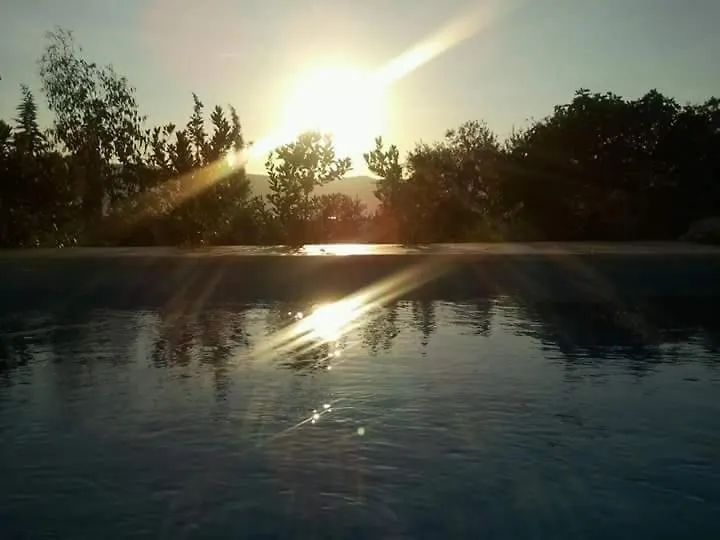 Apartments Villa Temer Pinezici