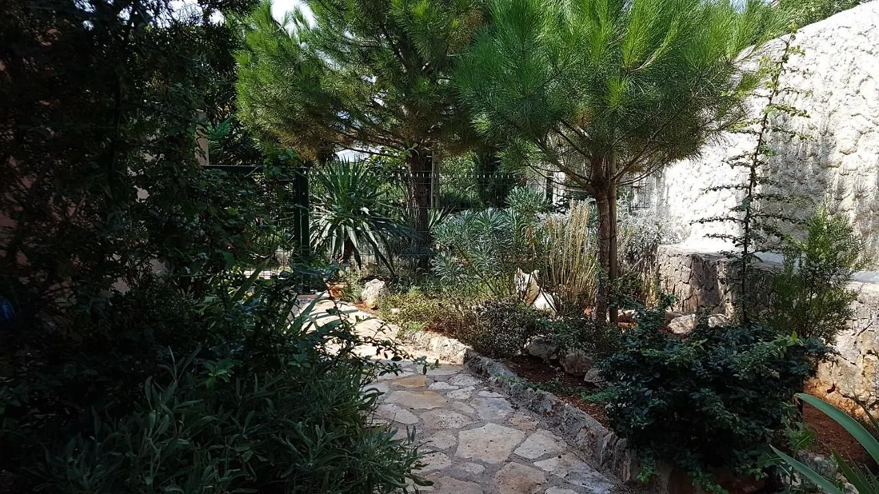Apartments Villa Temer Pinezici